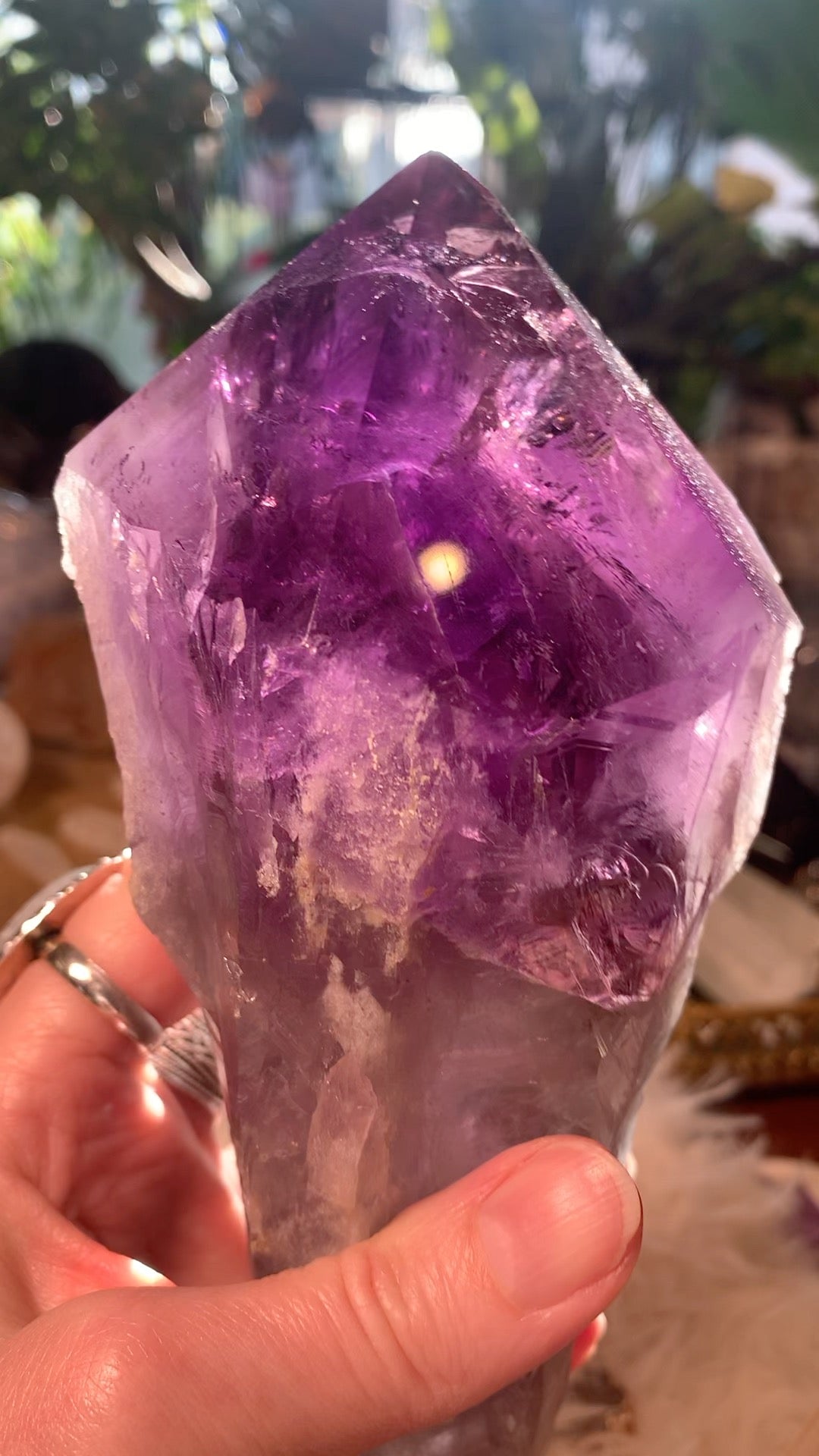 Amethyst Root Point - Bahia Brazil - Phantoms