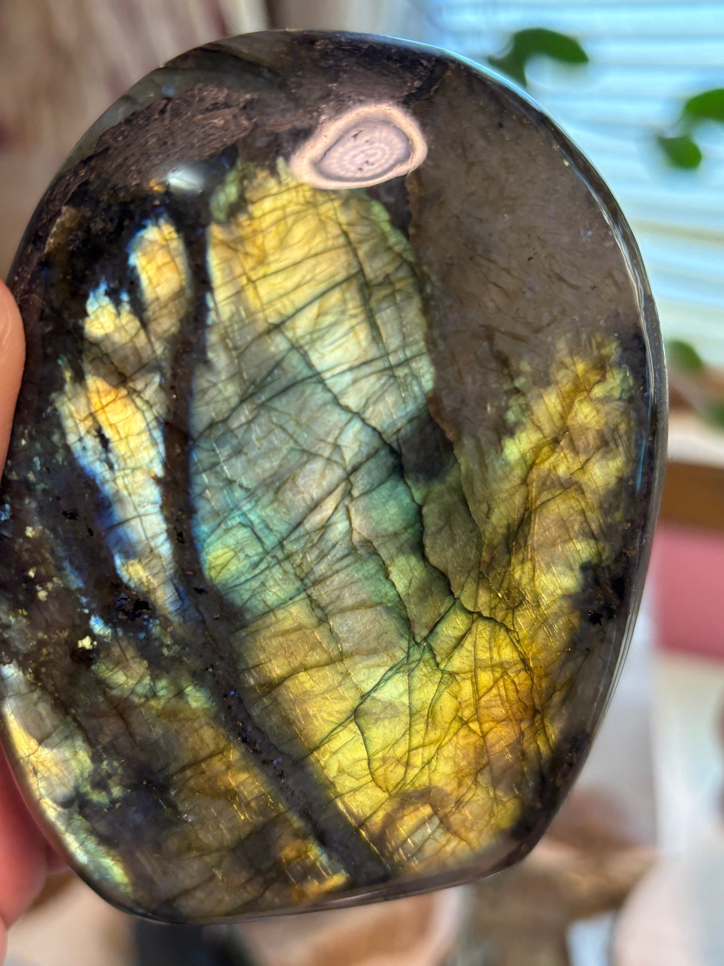 Labradorite freeform - Madagascar
