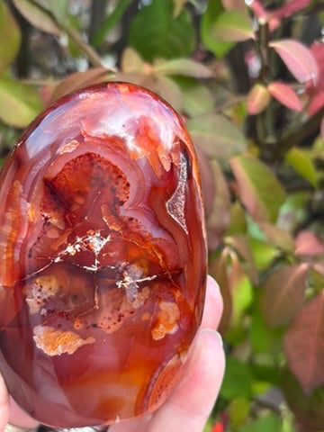 Carnelian Free Form - Madagascar