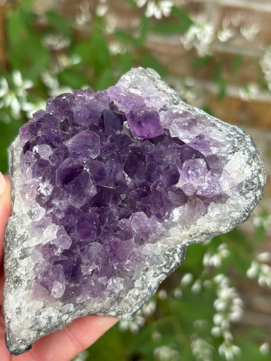 Amethyst Cluster