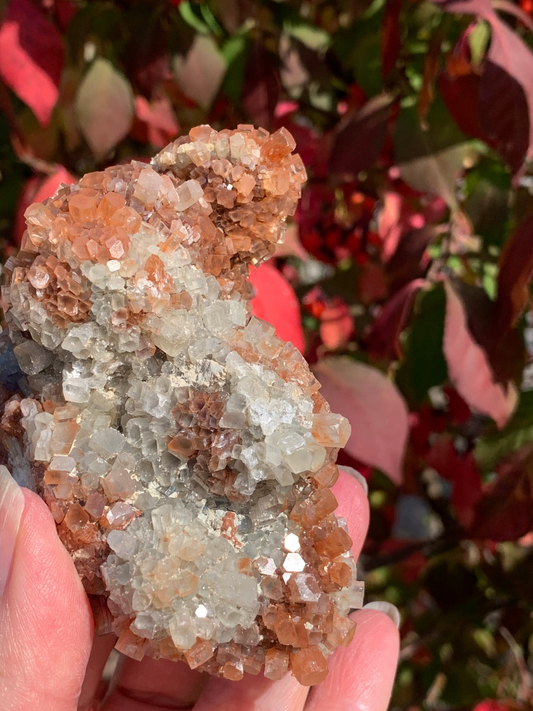 Star Aragonite Cluster