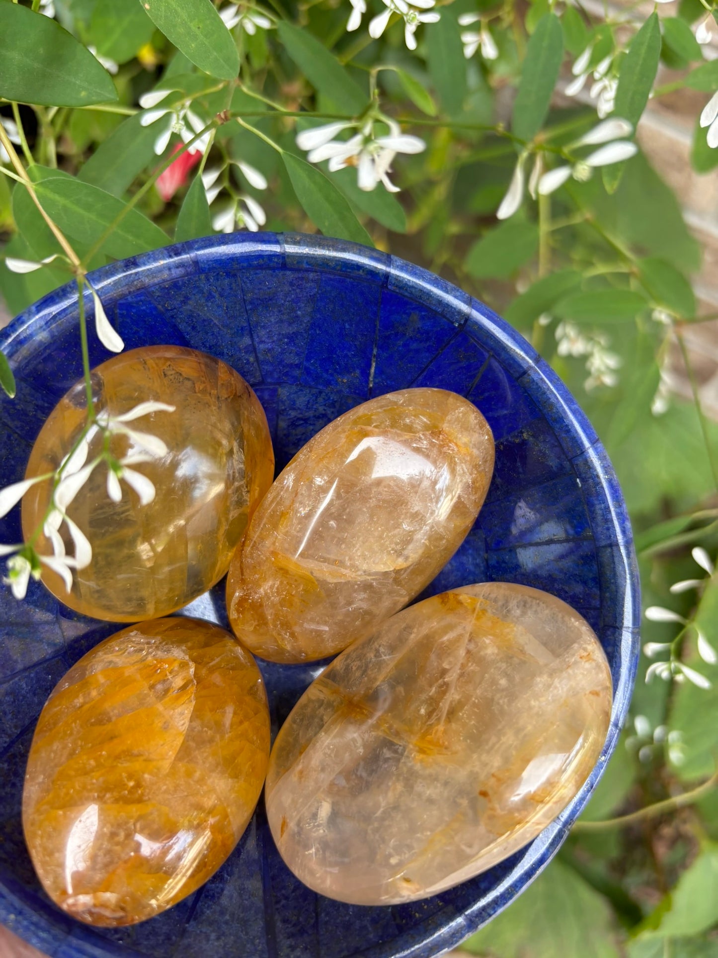 Golden Healer - Palm Stone