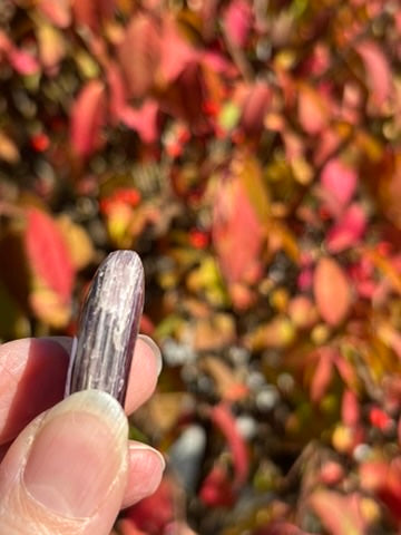 Gem Lepidolite - Palm Stone