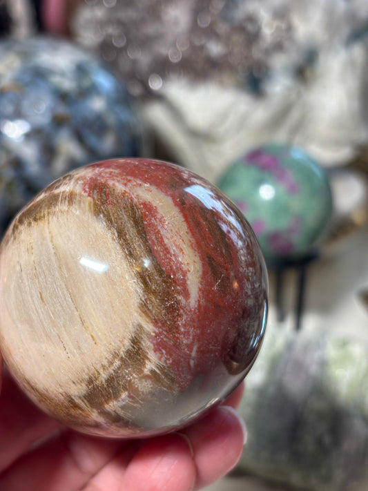 Petrified Wood Sphere - Madagascar