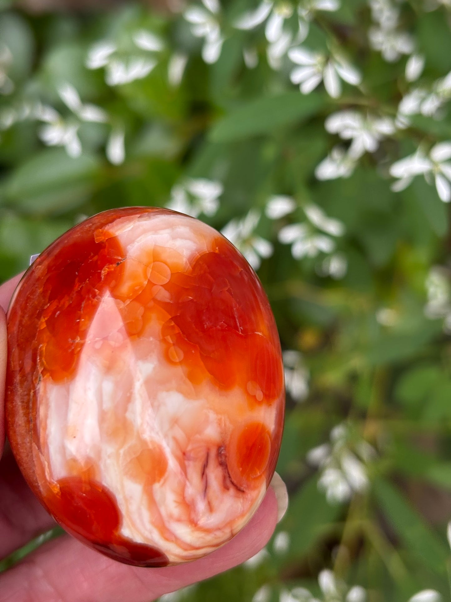 Carnelian - Palm Stone | Madagascar