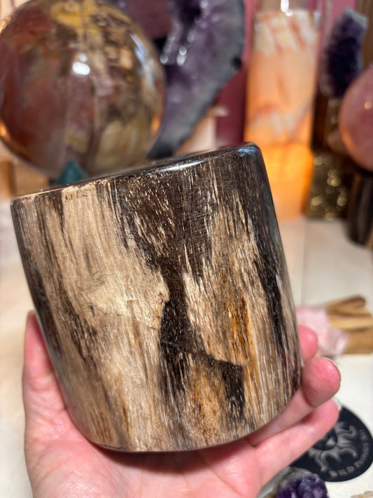 Petrified Wood Sphere Stand - Indonesia