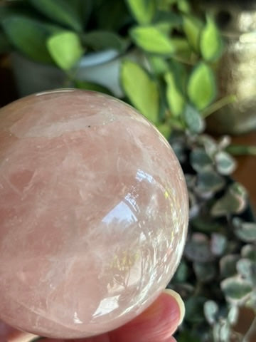 Rose Quartz | Sphere | Madagascar