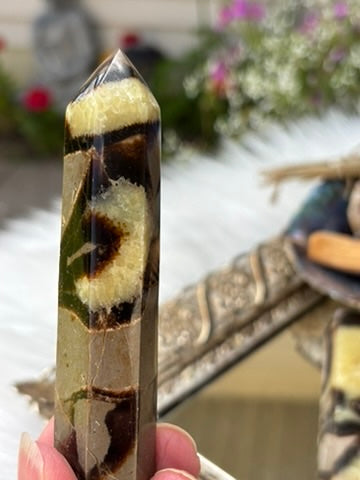 Septarian point | Madagascar
