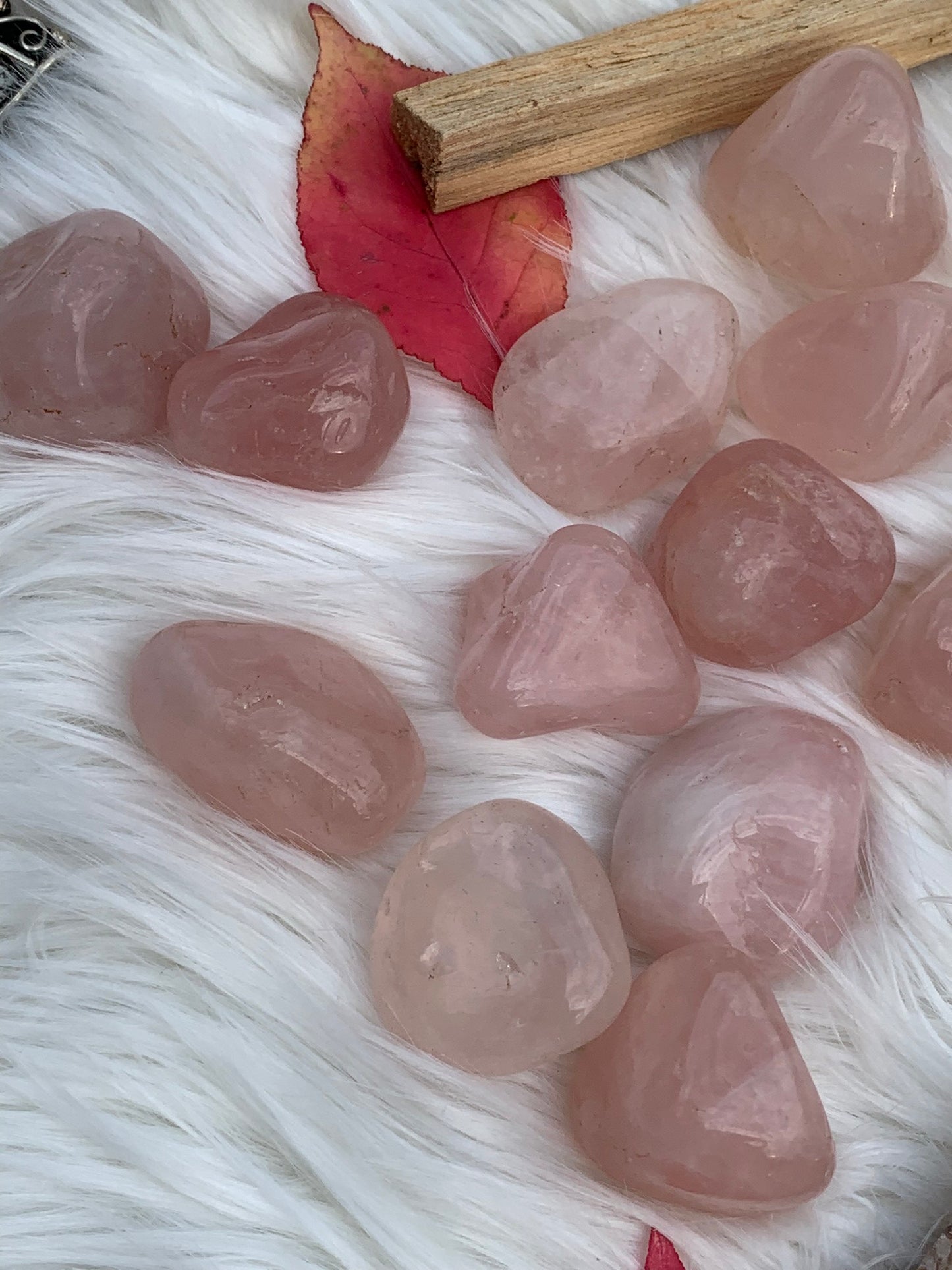 XL Rose Quartz - Tumble | Brazil