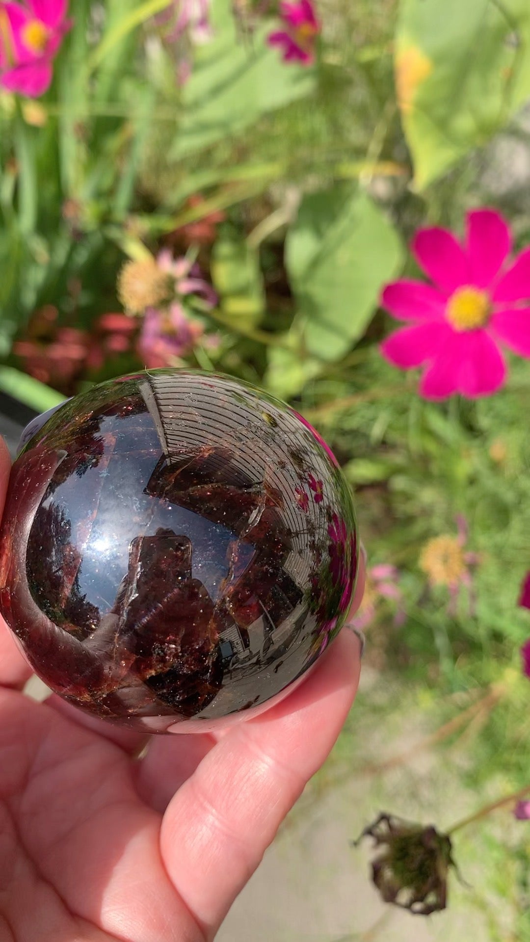 Star Garnet Sphere - INDIA