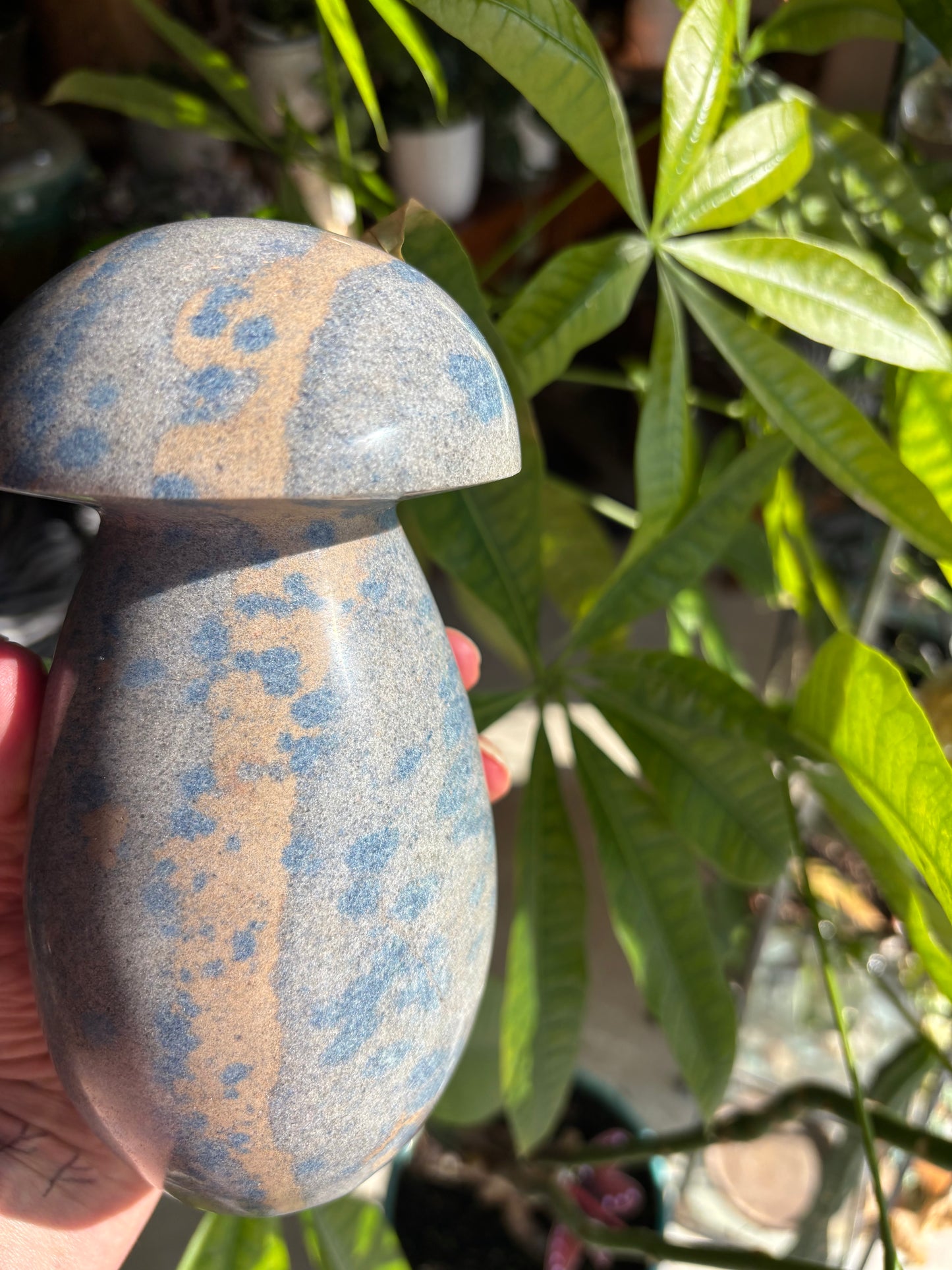 Blue Apatite in Clevelandite - Madagascar