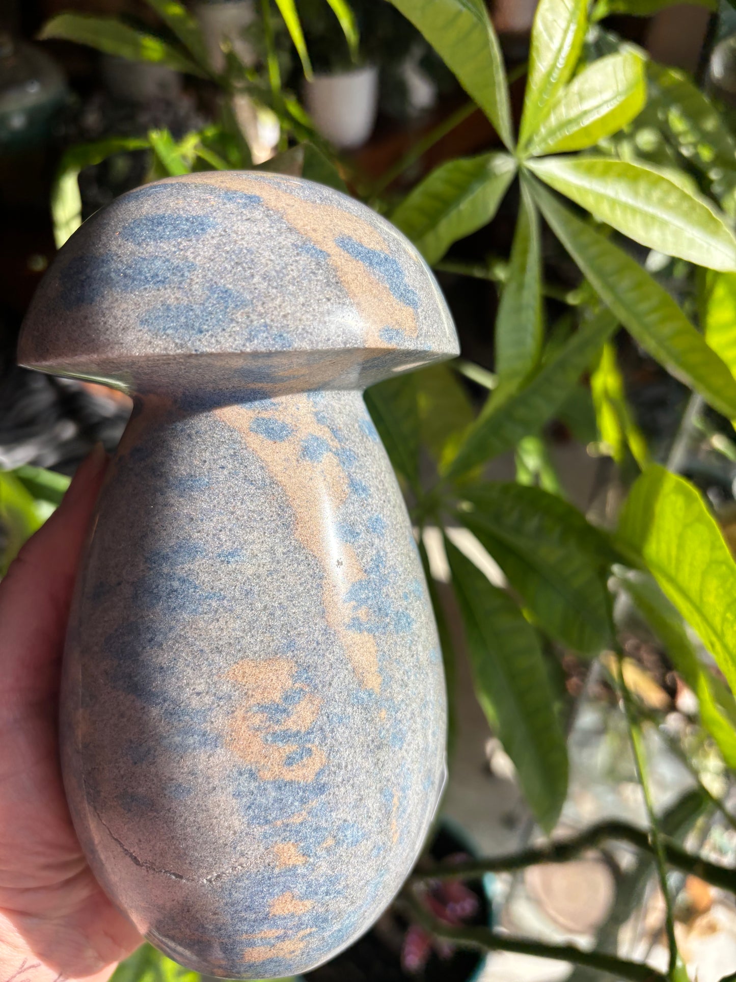 Blue Apatite in Clevelandite - Madagascar