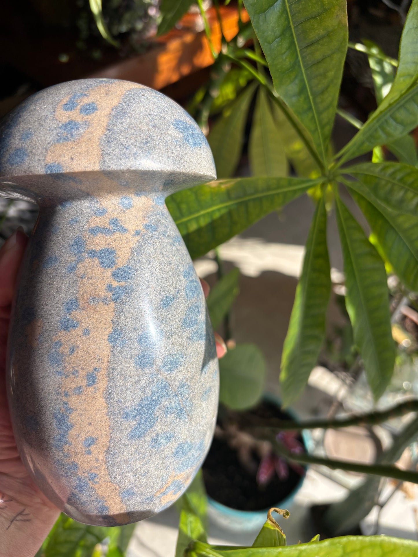Blue Apatite in Clevelandite - Madagascar