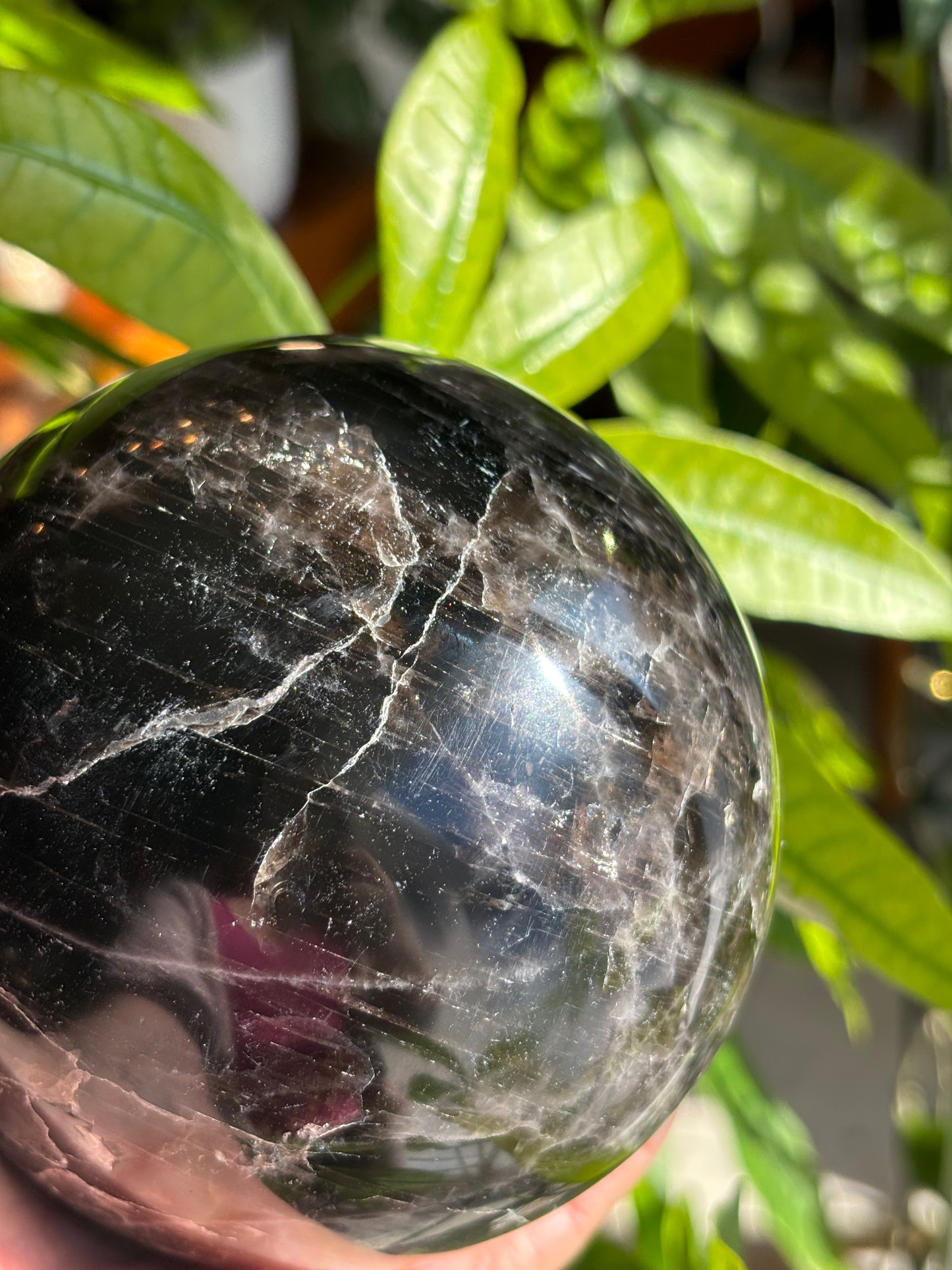 XL Smokey Quartz Sphere - Madagascar