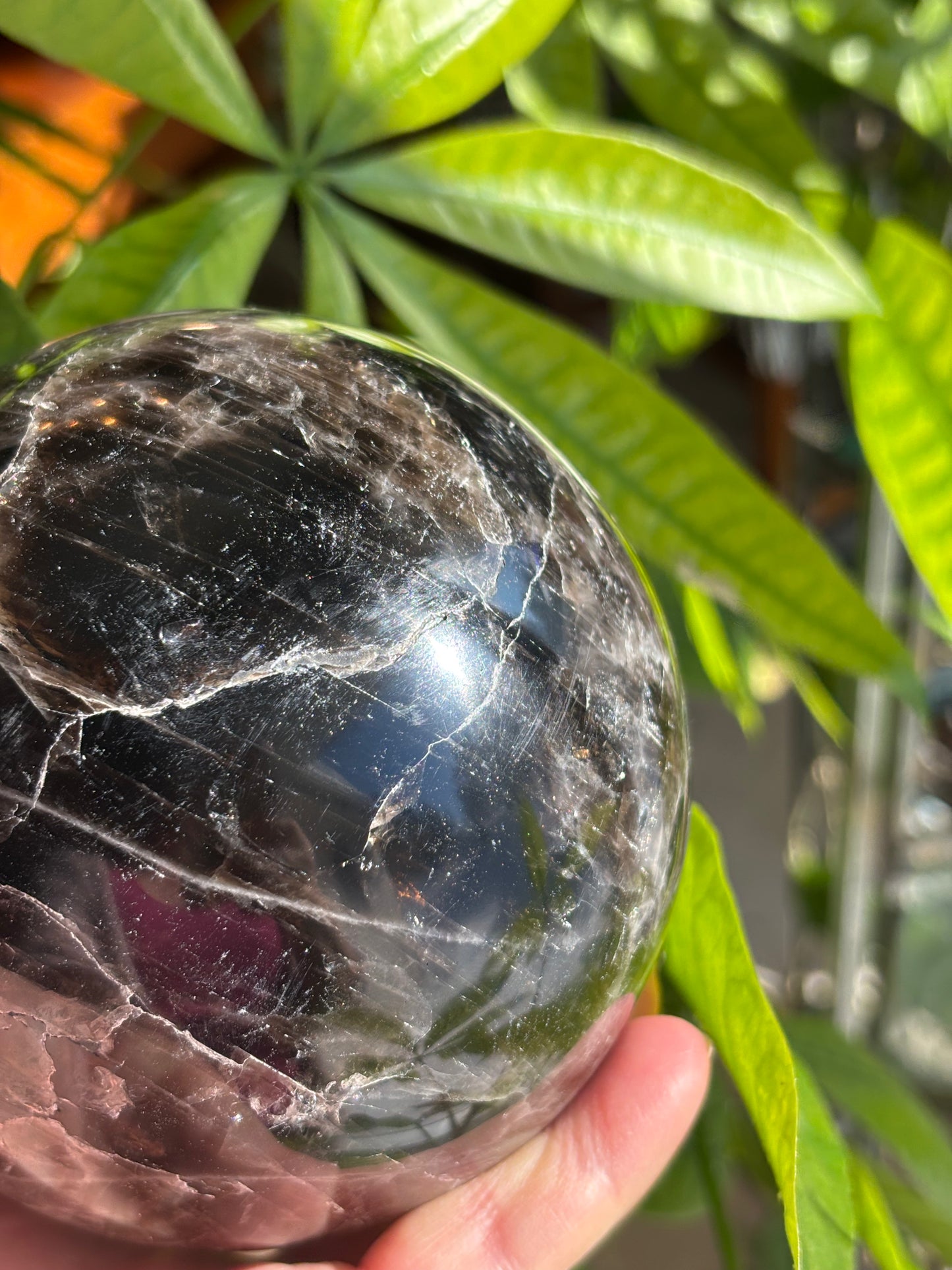 XL Smokey Quartz Sphere - Madagascar