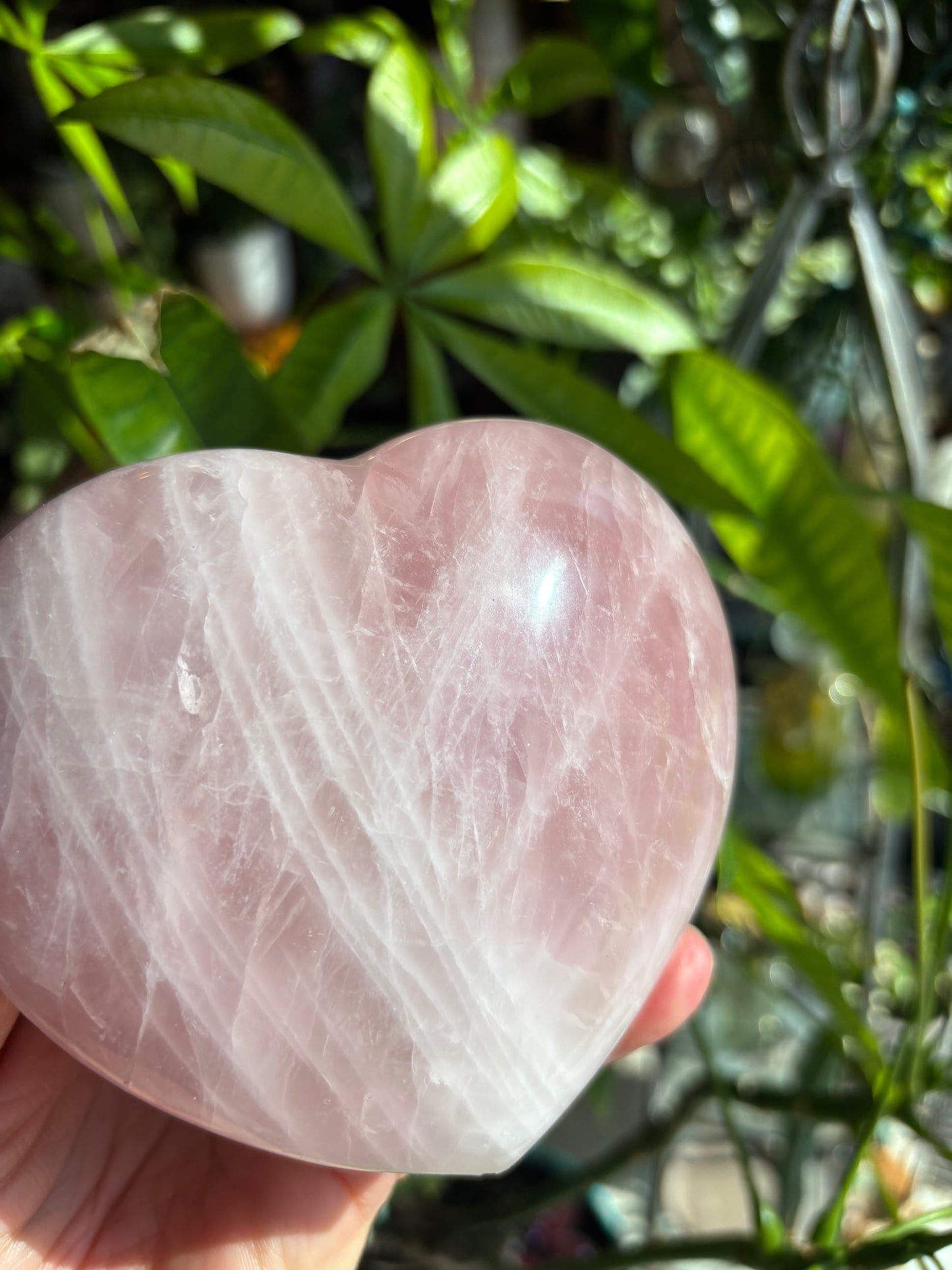 Rose Quartz - Heart - Madagascar