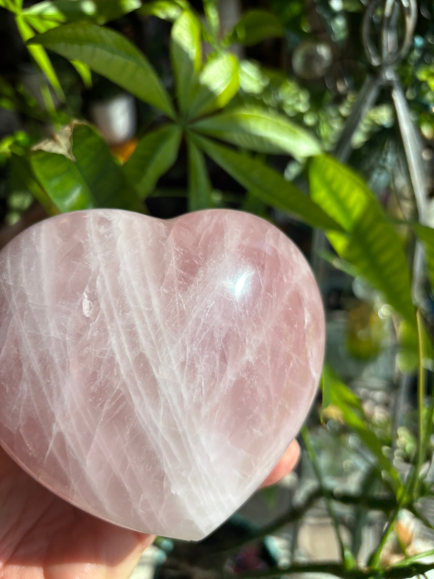 Rose Quartz - Heart - Madagascar