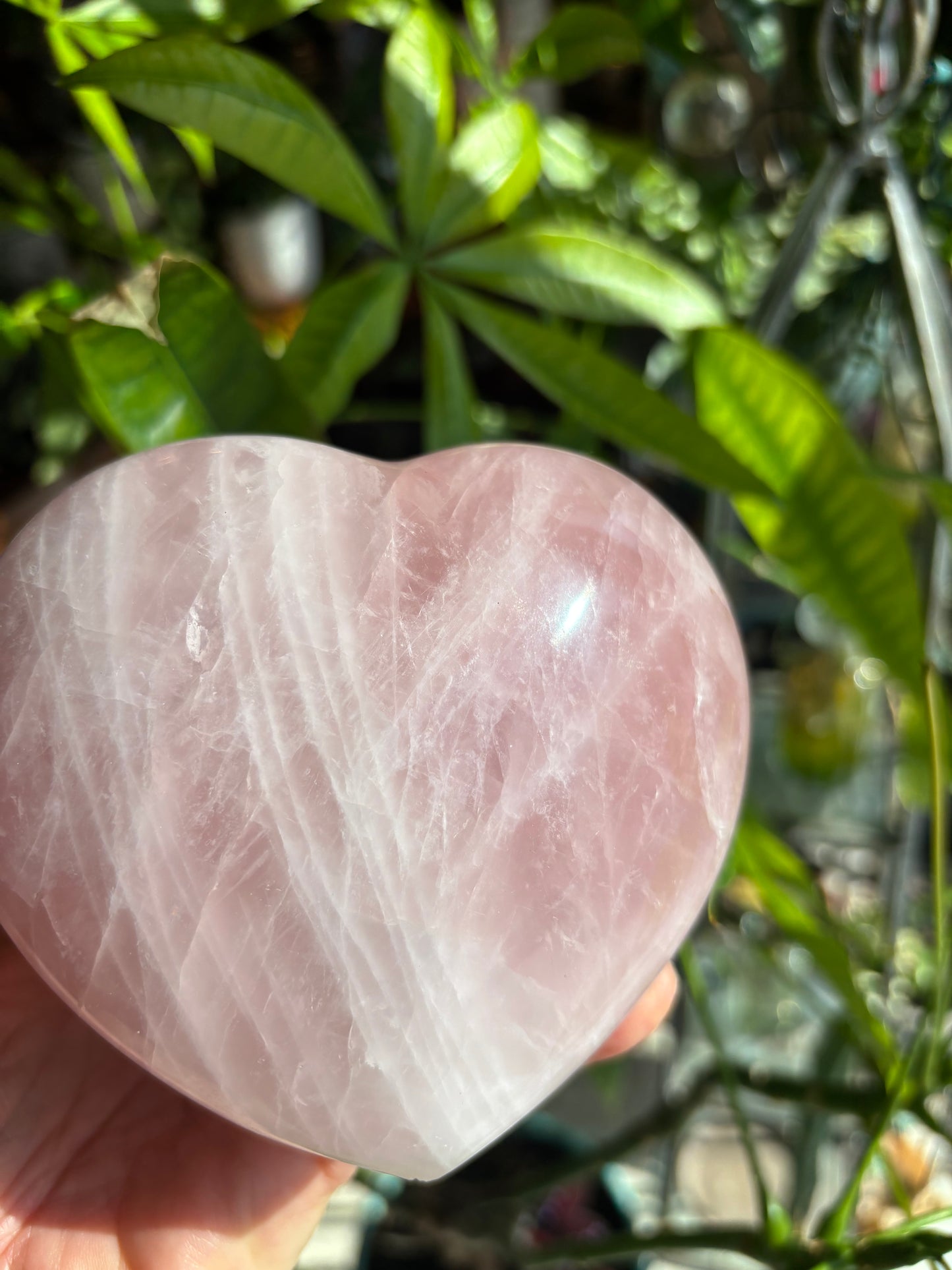 Rose Quartz - Heart - Madagascar