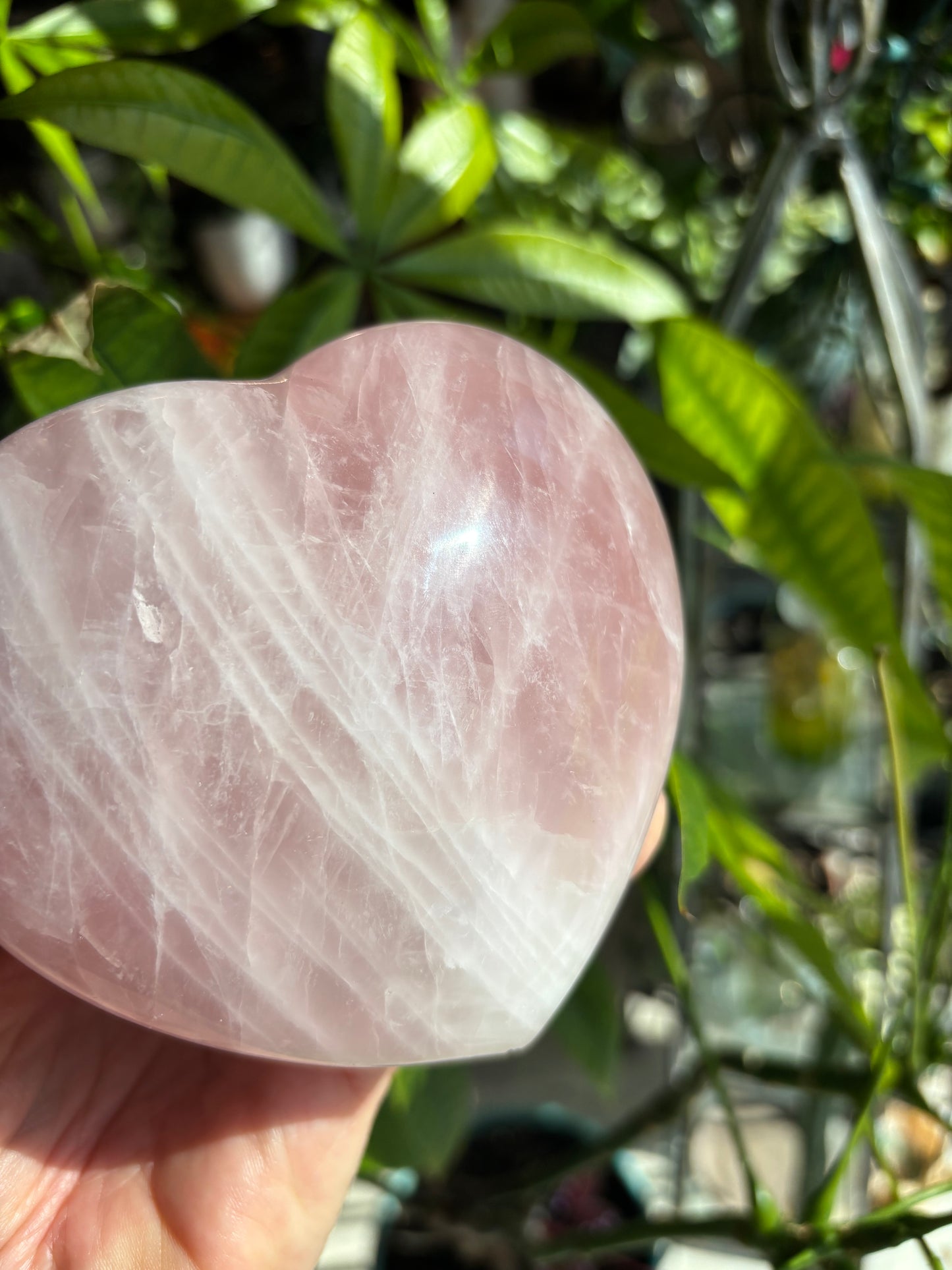 Rose Quartz - Heart - Madagascar