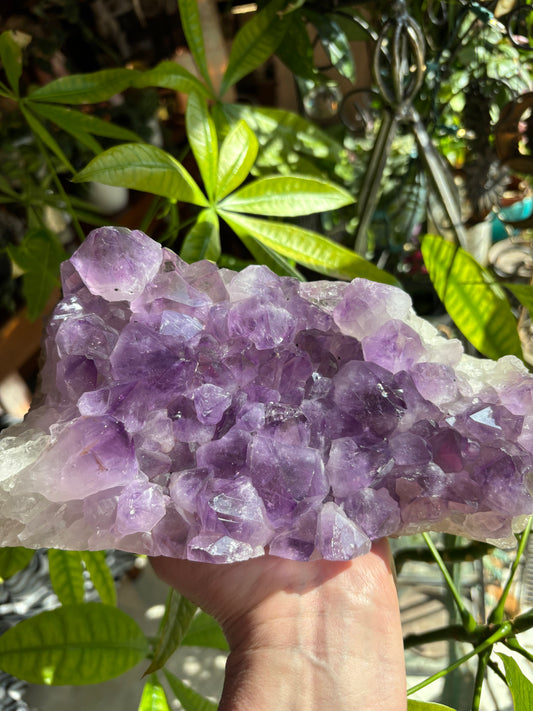 Amethyst Cluster