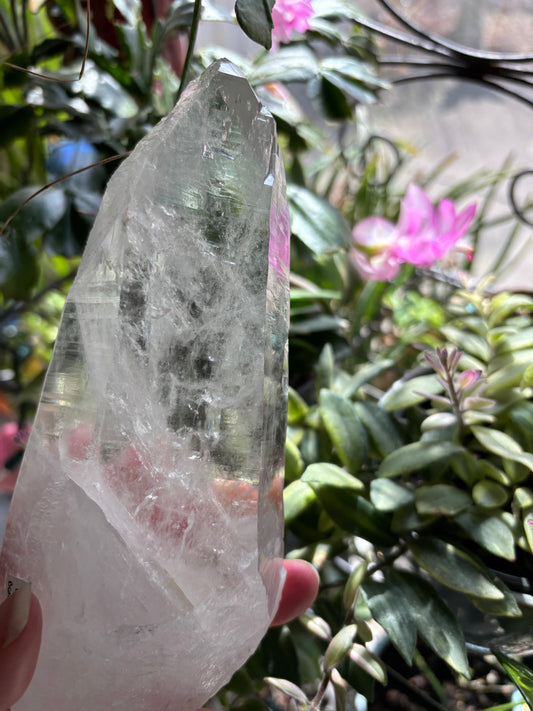 Lemurian Quartz Point