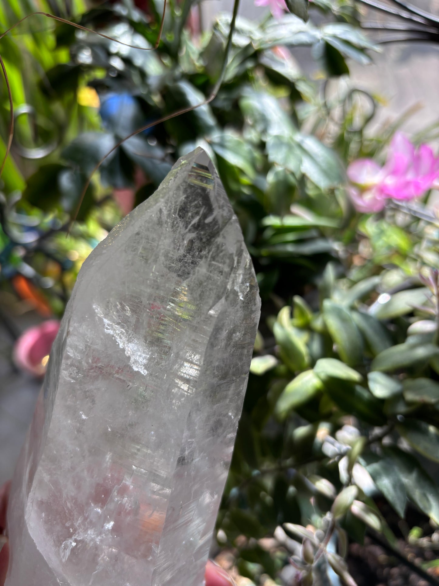 Lemurian Quartz Point