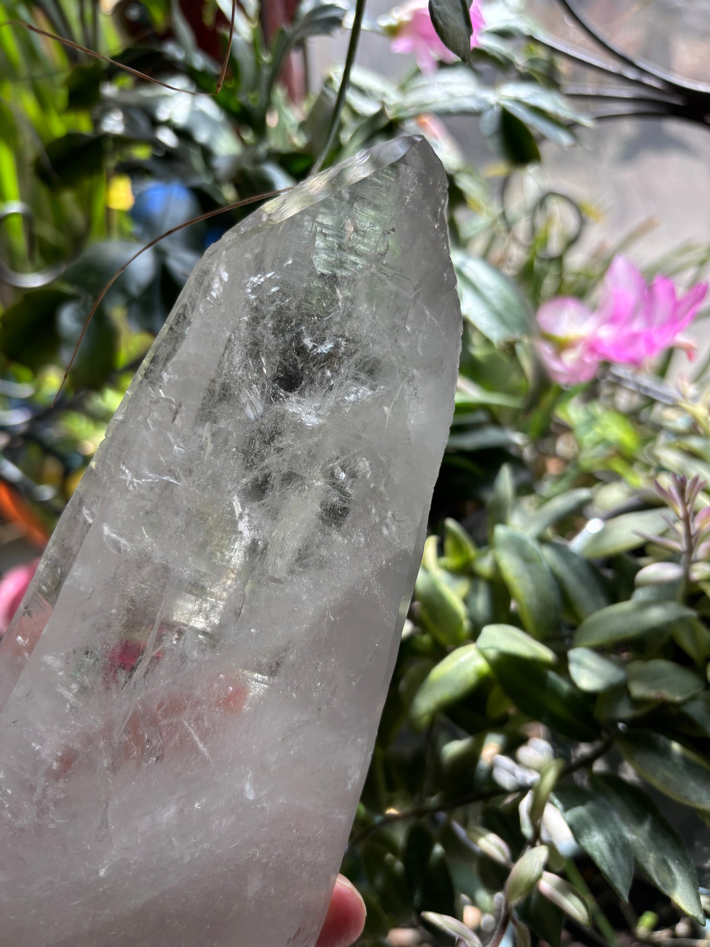 Lemurian Quartz Point