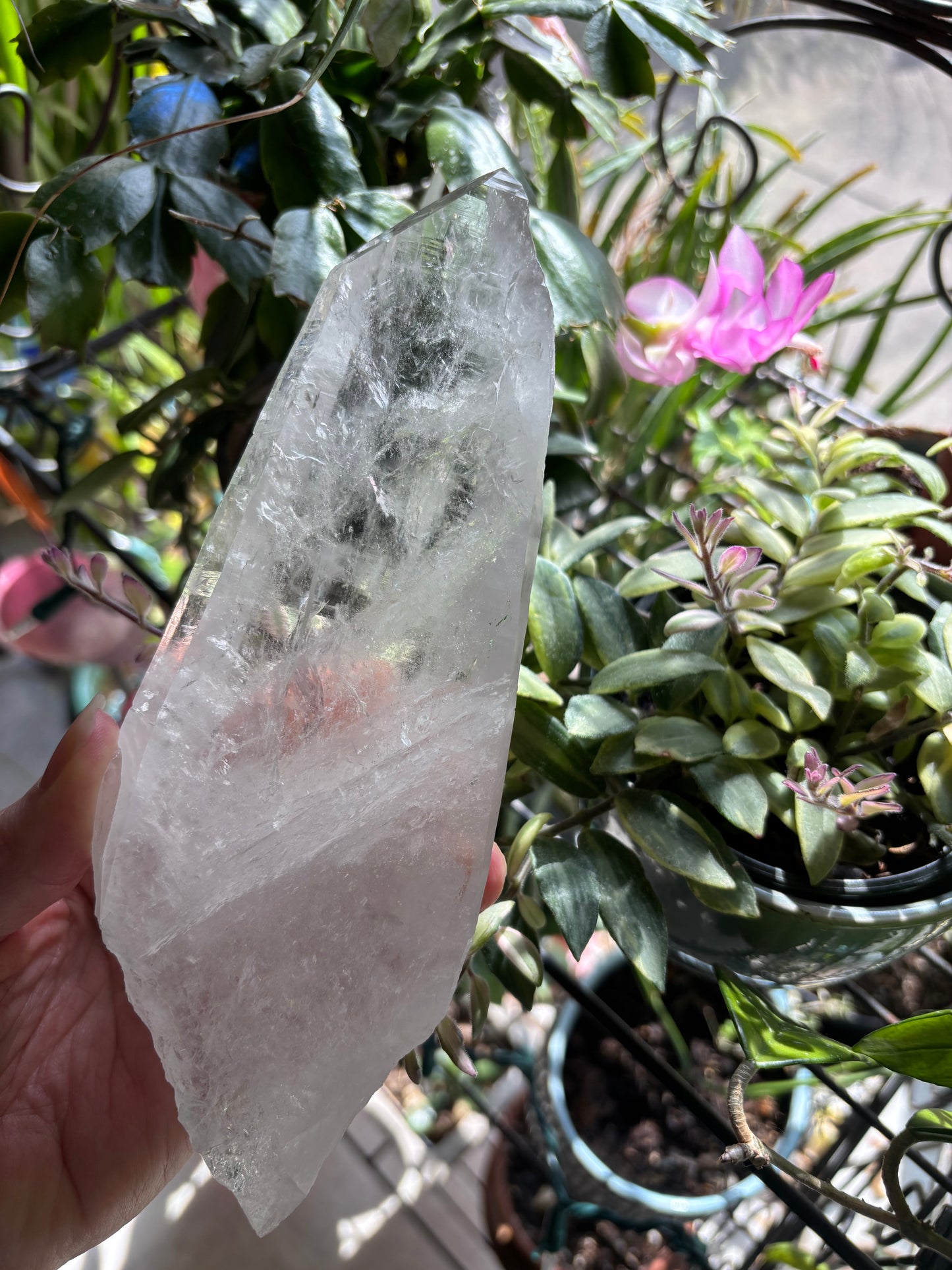 Lemurian Quartz Point