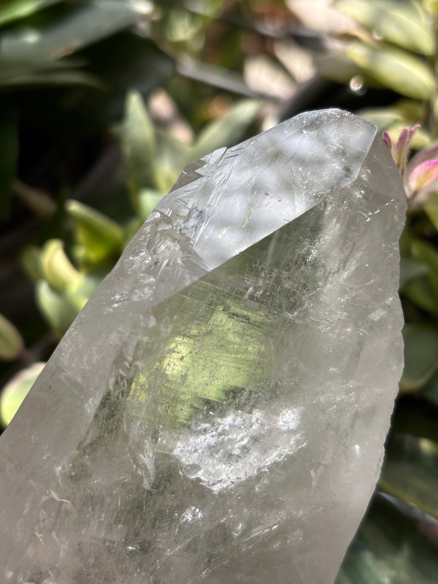 Lemurian Quartz Point