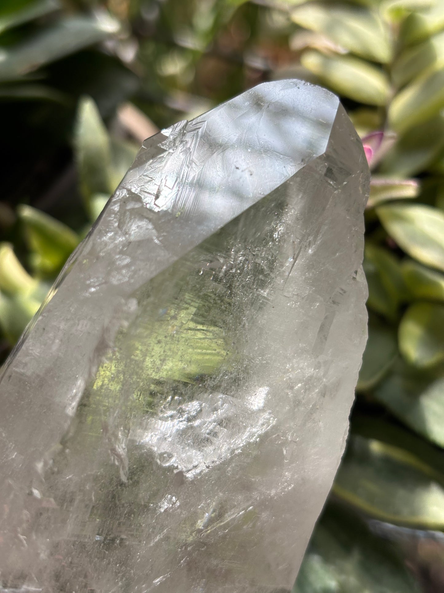 Lemurian Quartz Point