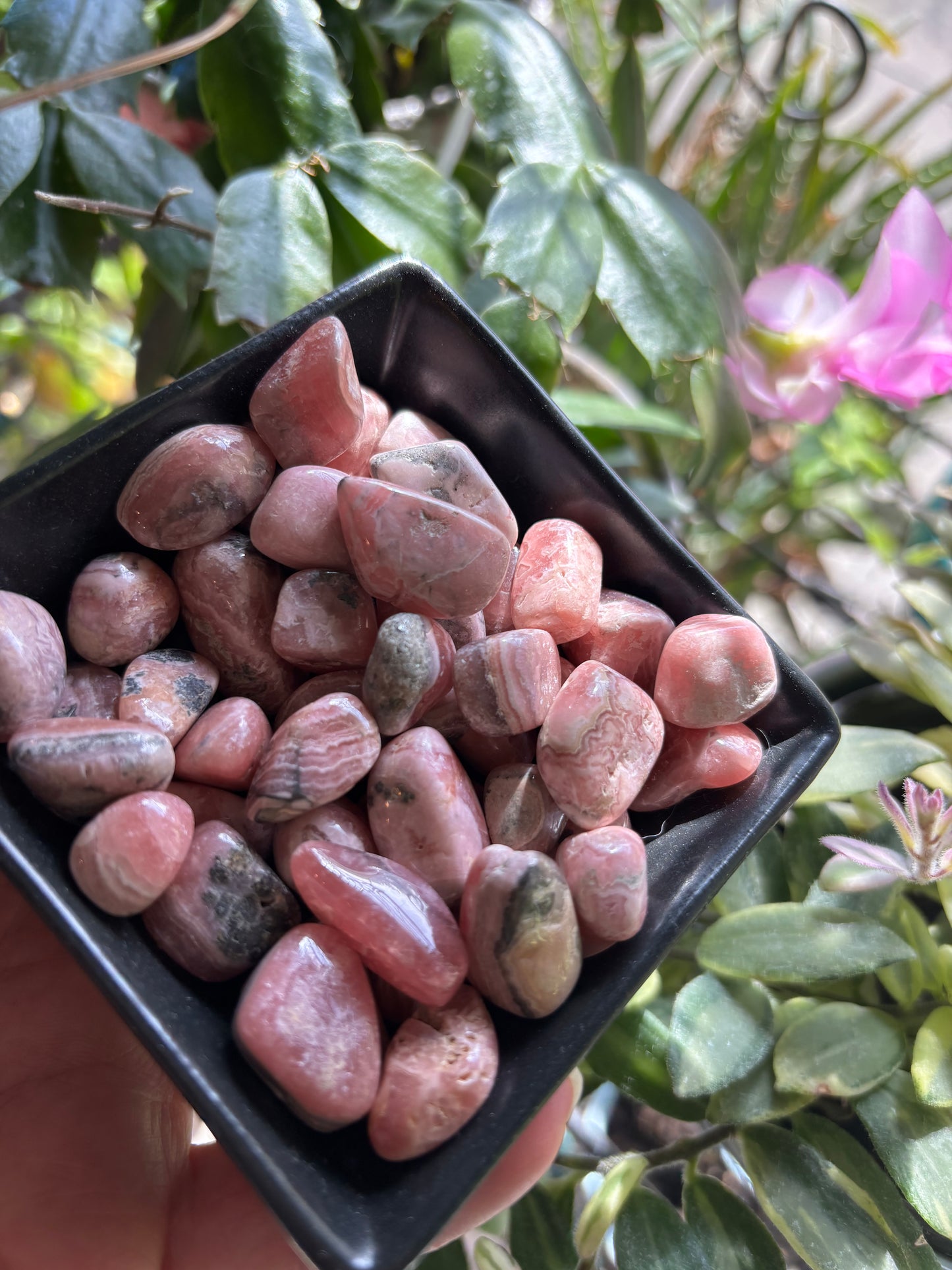 Rhodochrosite - Tumble