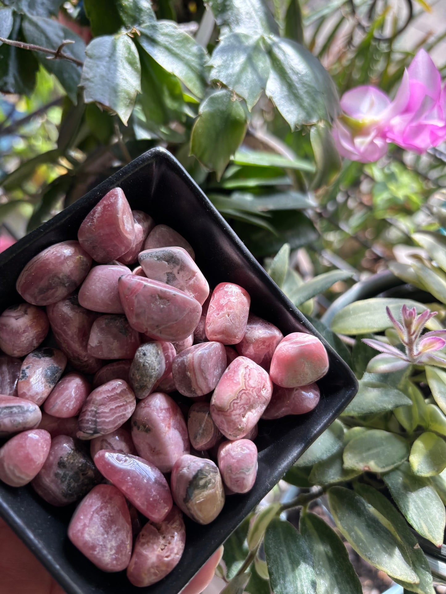 Rhodochrosite - Tumble