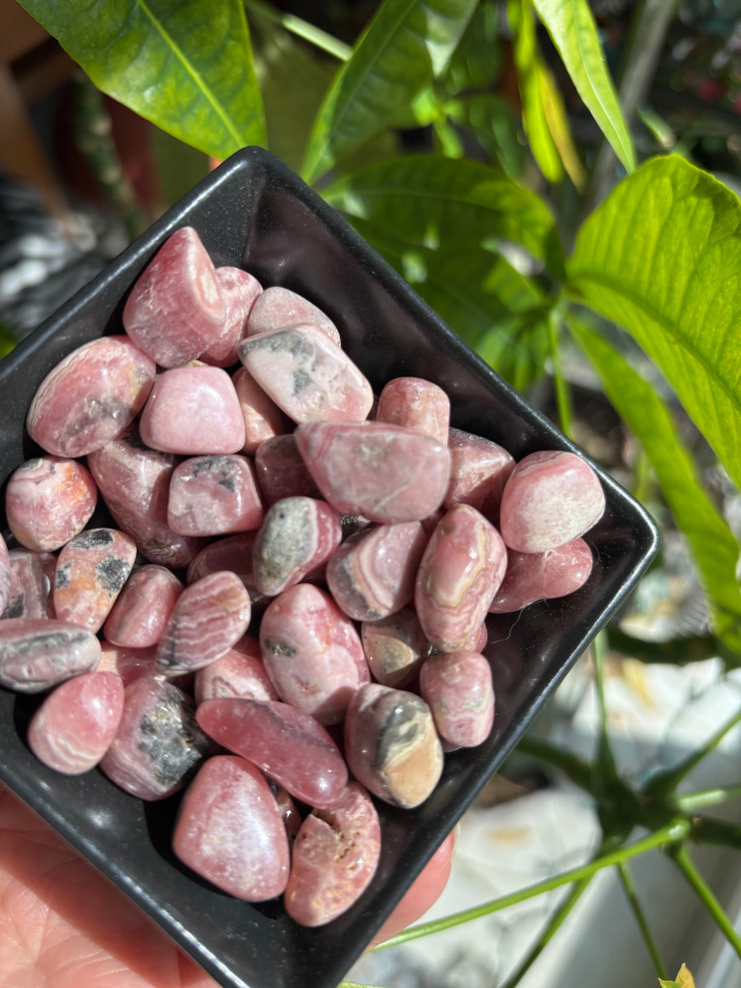 Rhodochrosite - Tumble