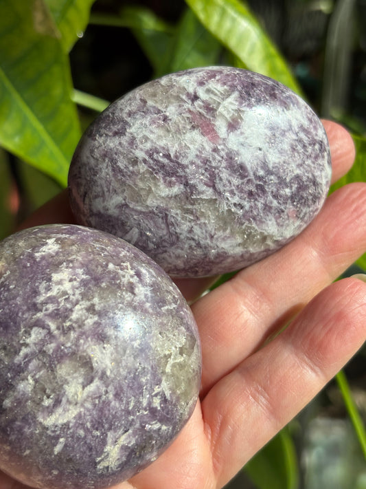 Unicorn Stone - Palm Stone