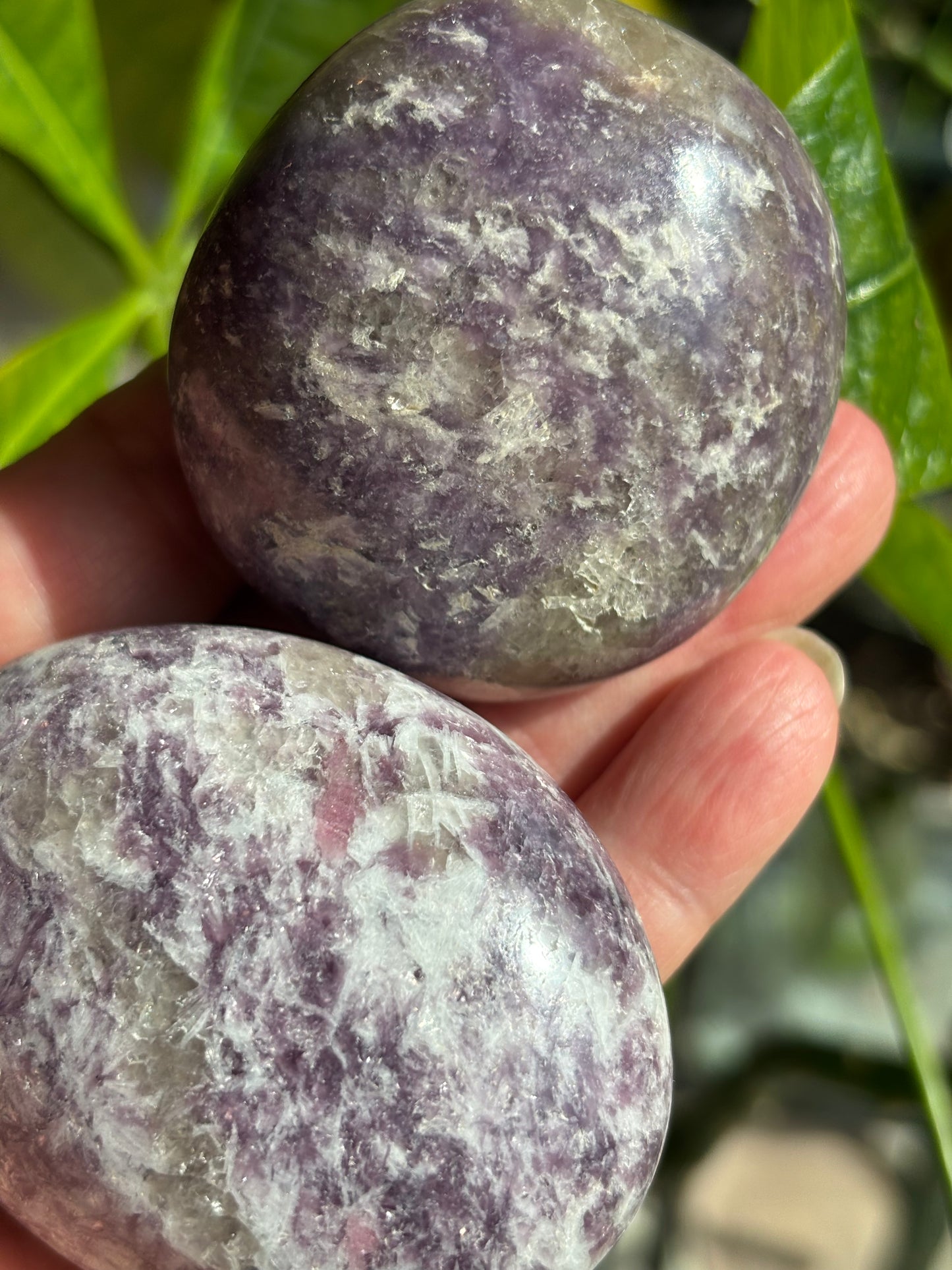 Unicorn Stone - Palm Stone