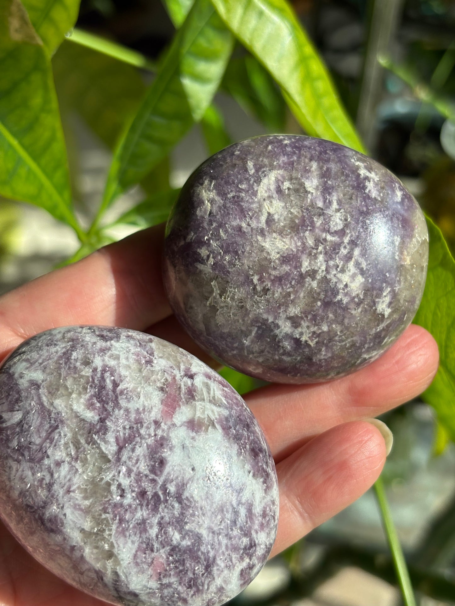 Unicorn Stone - Palm Stone
