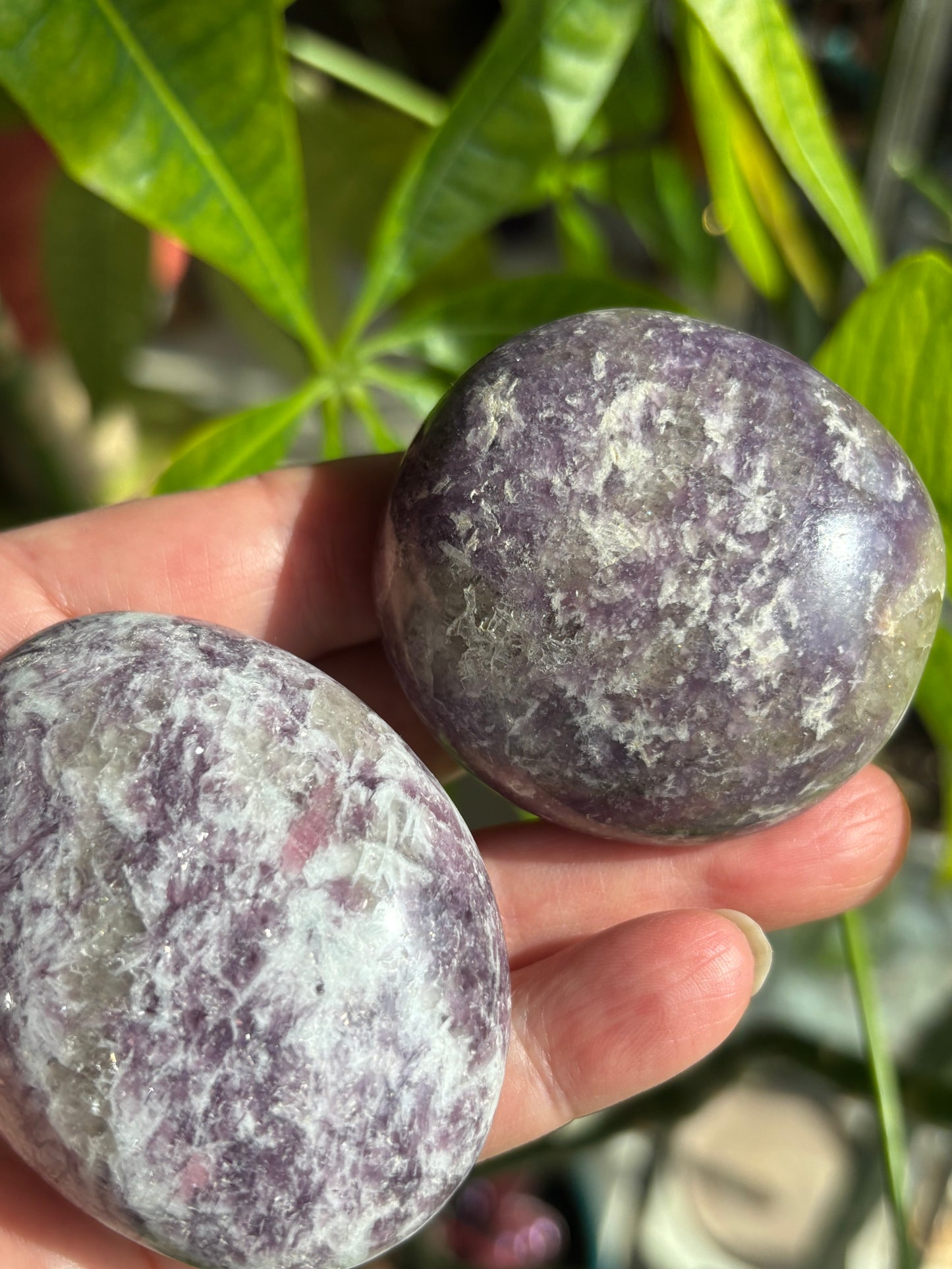 Unicorn Stone - Palm Stone