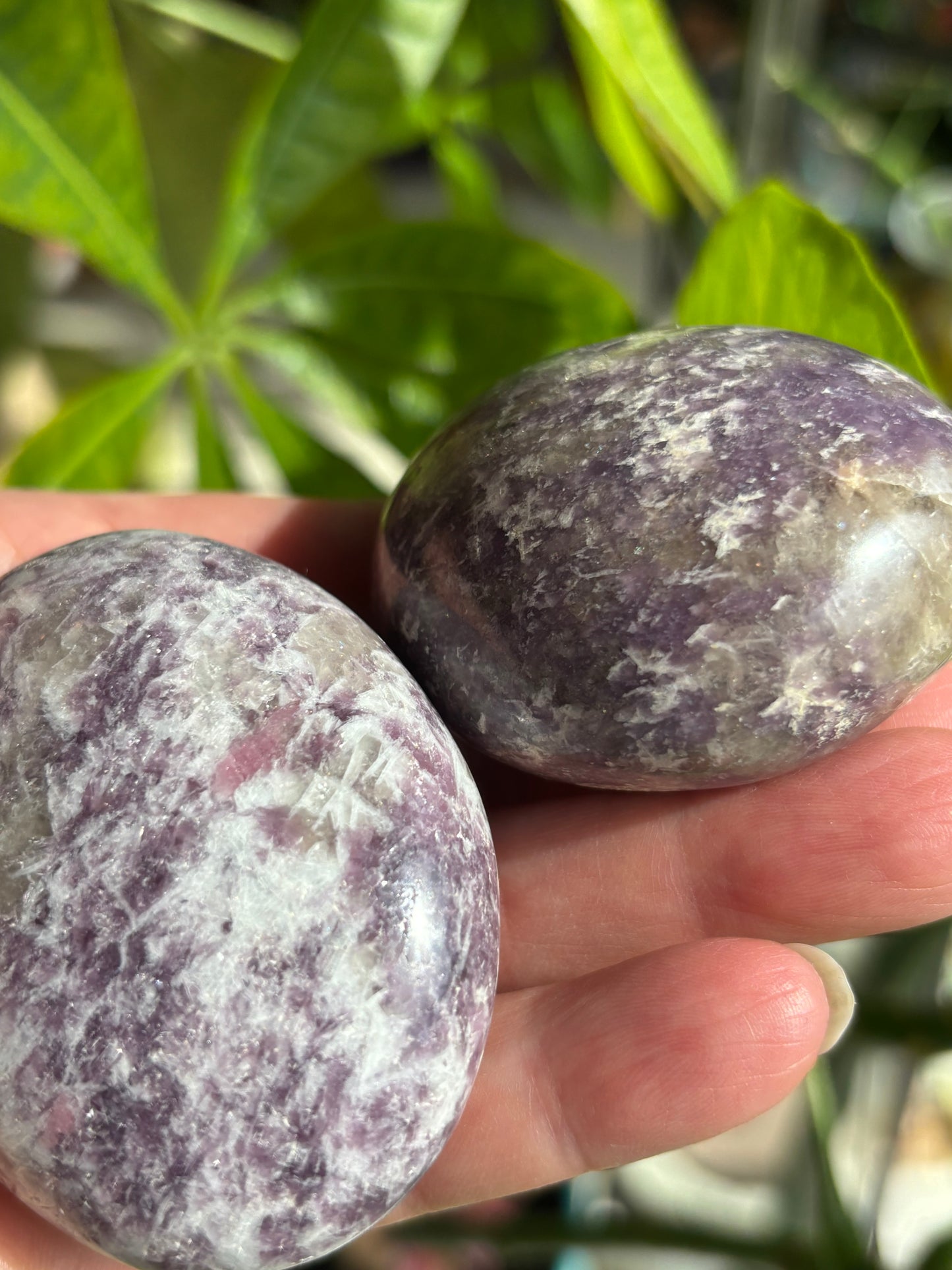 Unicorn Stone - Palm Stone