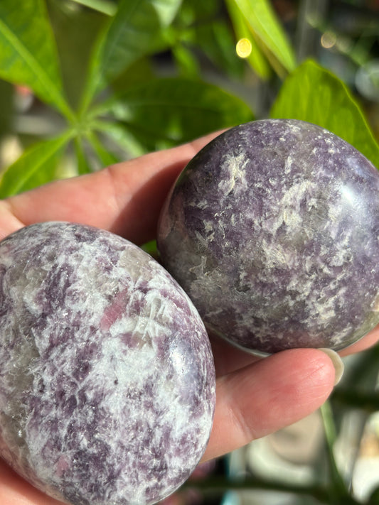 Unicorn Stone - Palm Stone