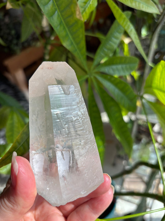 Lemurian Quartz Point - Brazil