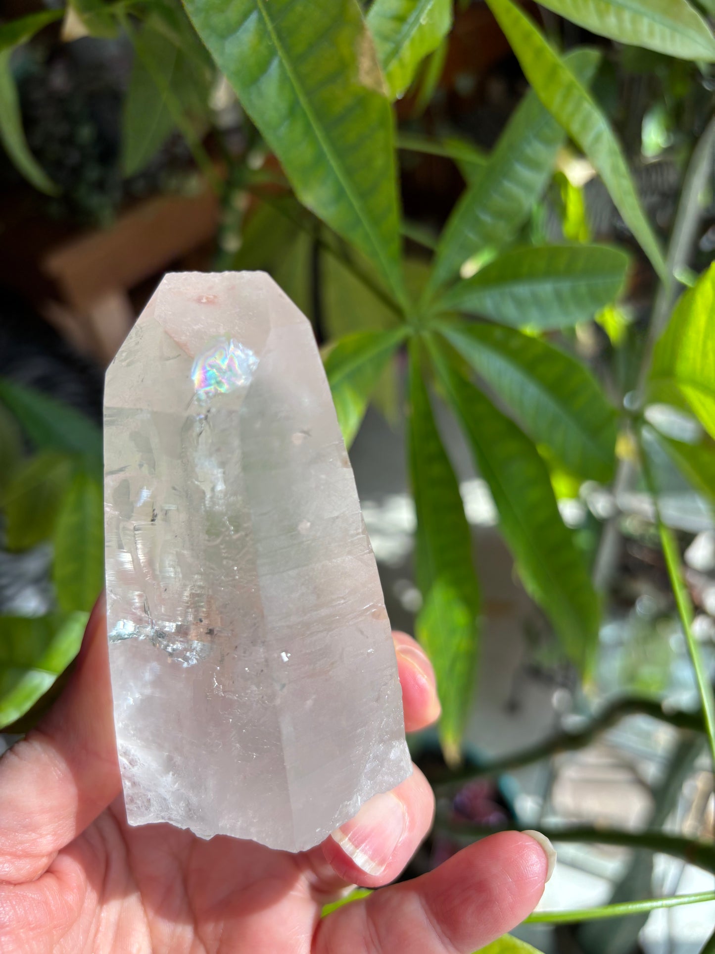 Lemurian Quartz Point - Brazil