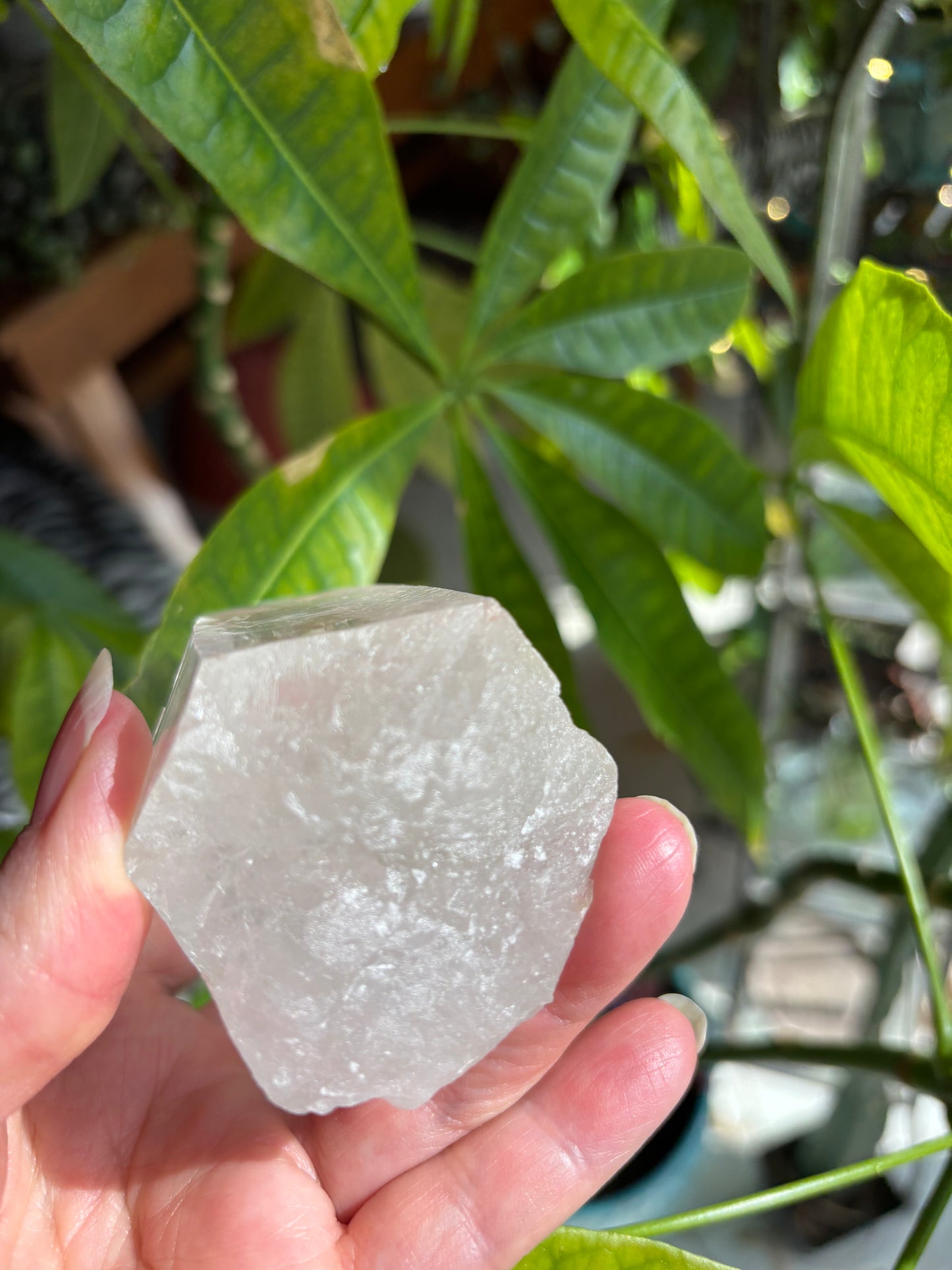 Lemurian Quartz Point - Brazil