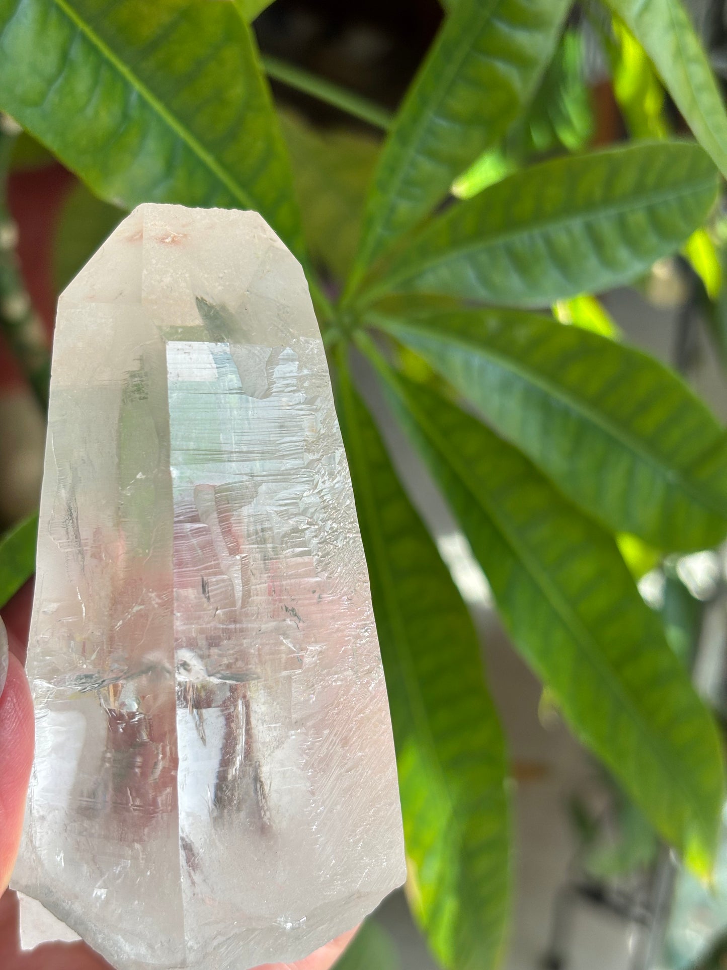 Lemurian Quartz Point - Brazil