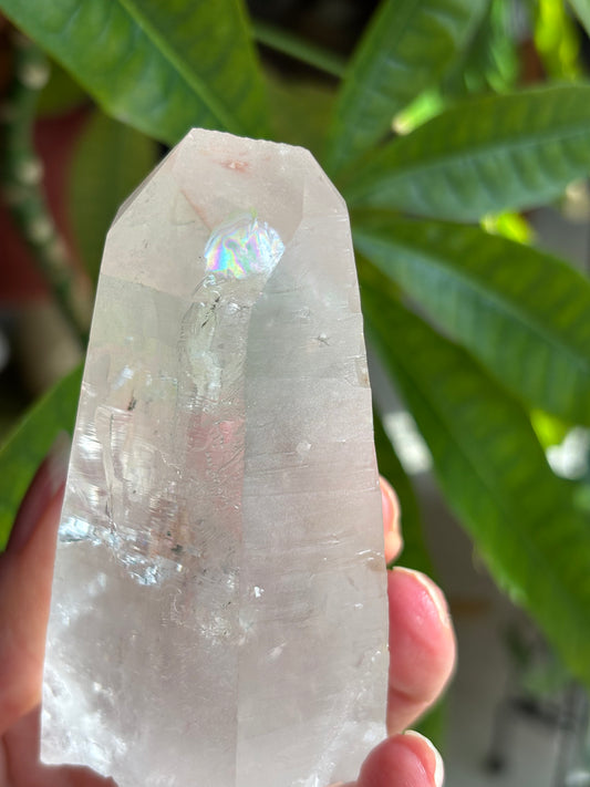 Lemurian Quartz Point - Brazil