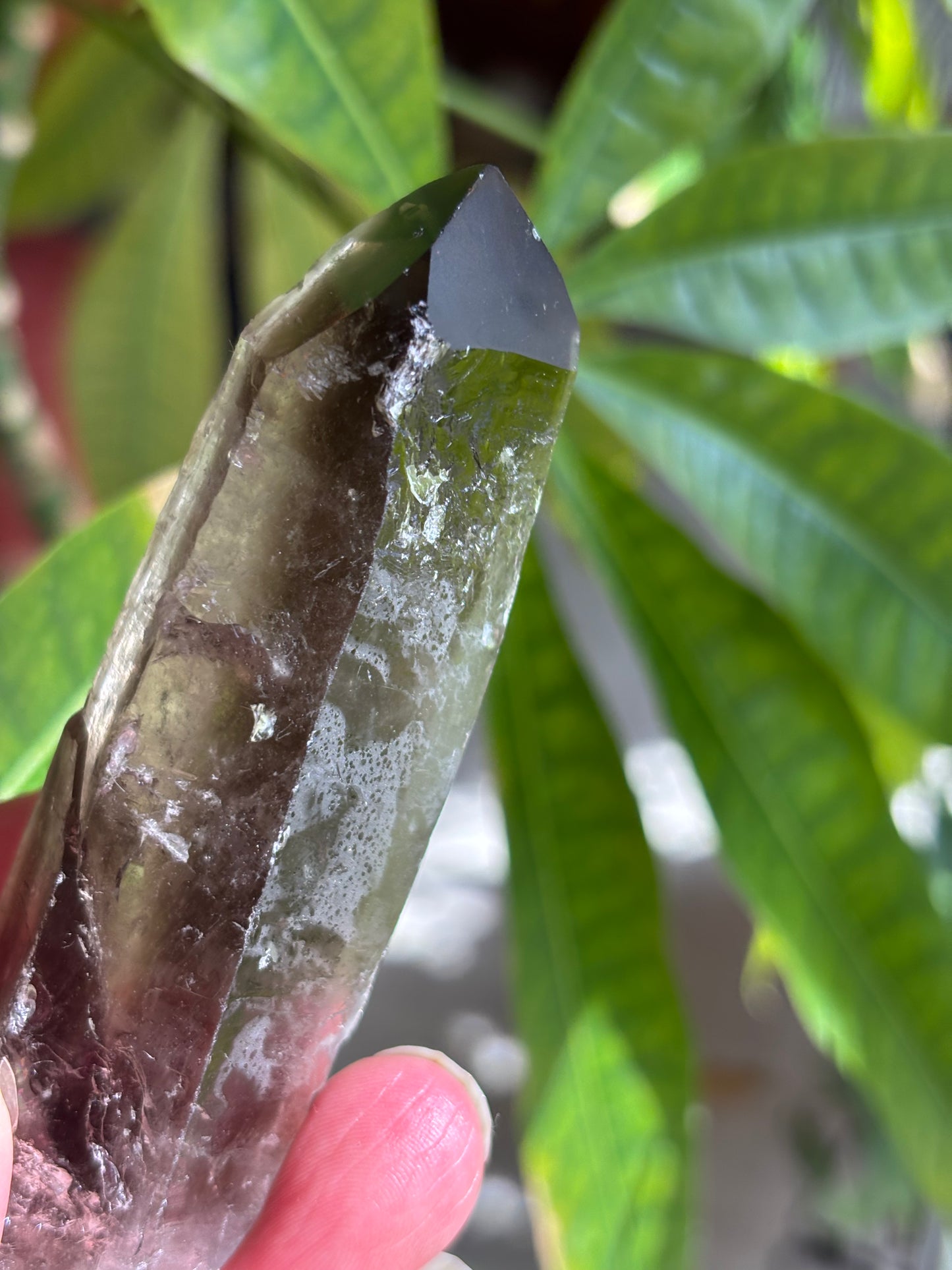 Smokey Quartz Point - Brazil