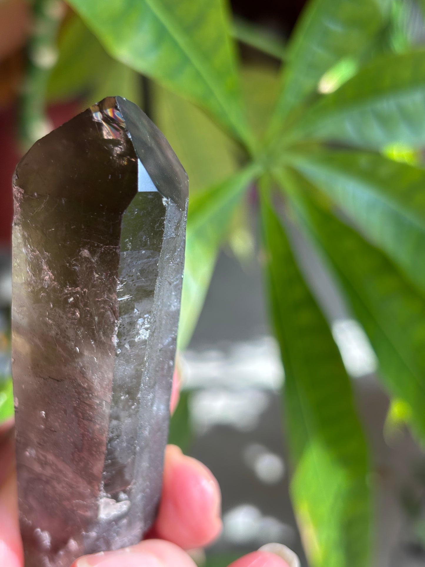 Smokey Quartz Point - Brazil