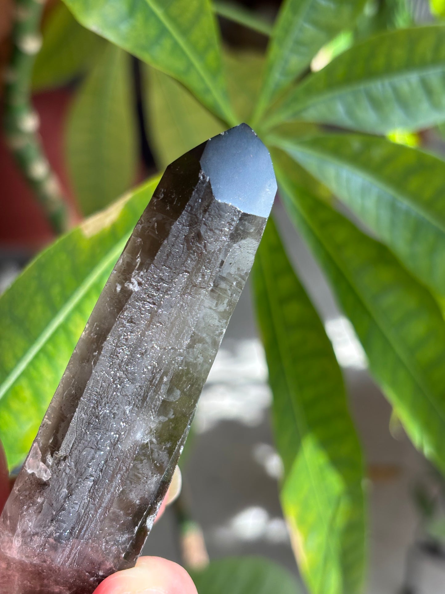 Smokey Quartz Point - Brazil