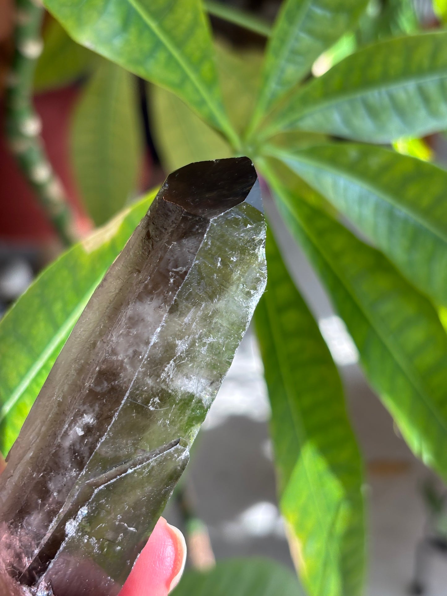 Smokey Quartz Point - Brazil