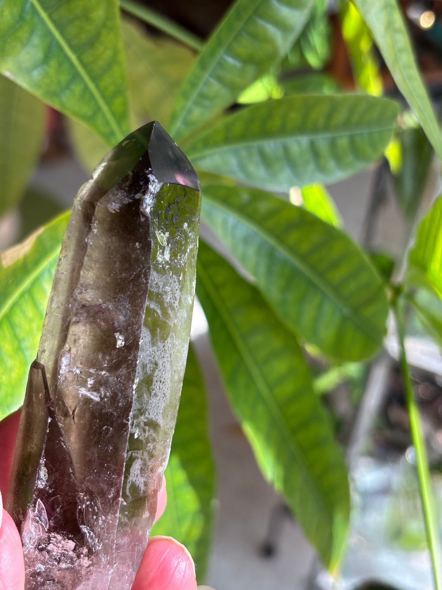 Smokey Quartz Point - Brazil
