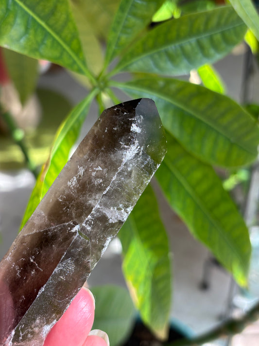 Smokey Quartz Point - Brazil